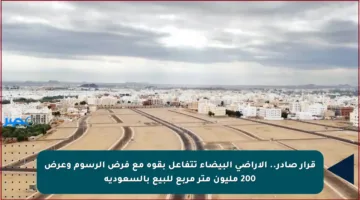 قرار صادر.. الأراضي البيضاء تتفاعل بقوة مع فرض الرسوم وعرض 200 مليون متر مربع للبيع بالسعودية